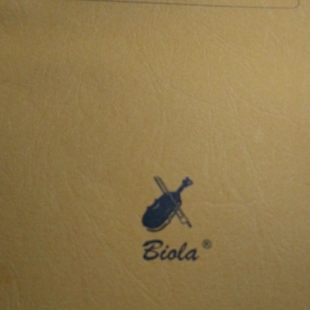 Map Biola Tulang Kertas Warna