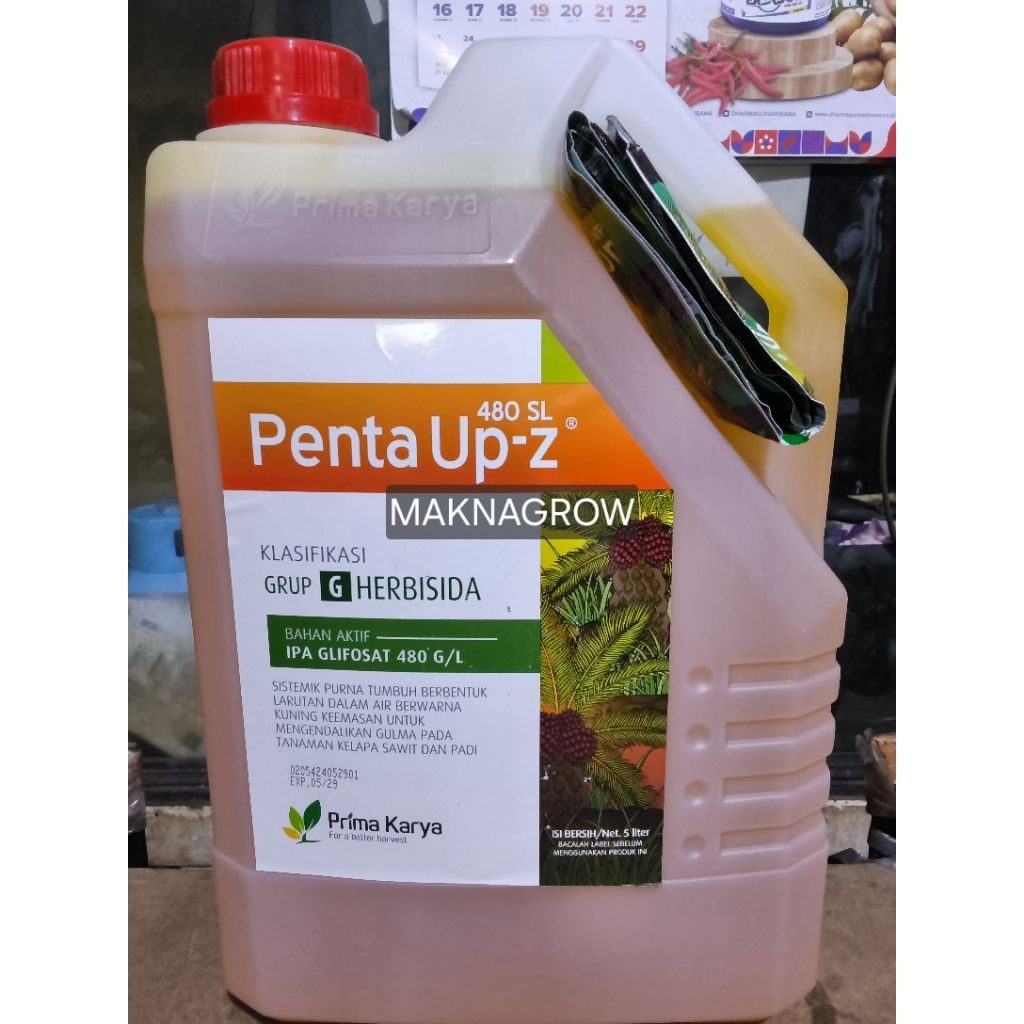 Herbisida PENTA UP-Z 480 SL Racun rumput 5 liter