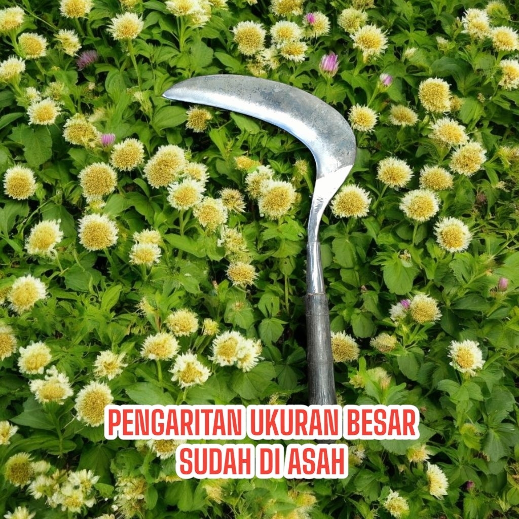 sabit pengaritan ukuran besar baja isian gigi roda gila sudah di asah sekalian asli cap MININ