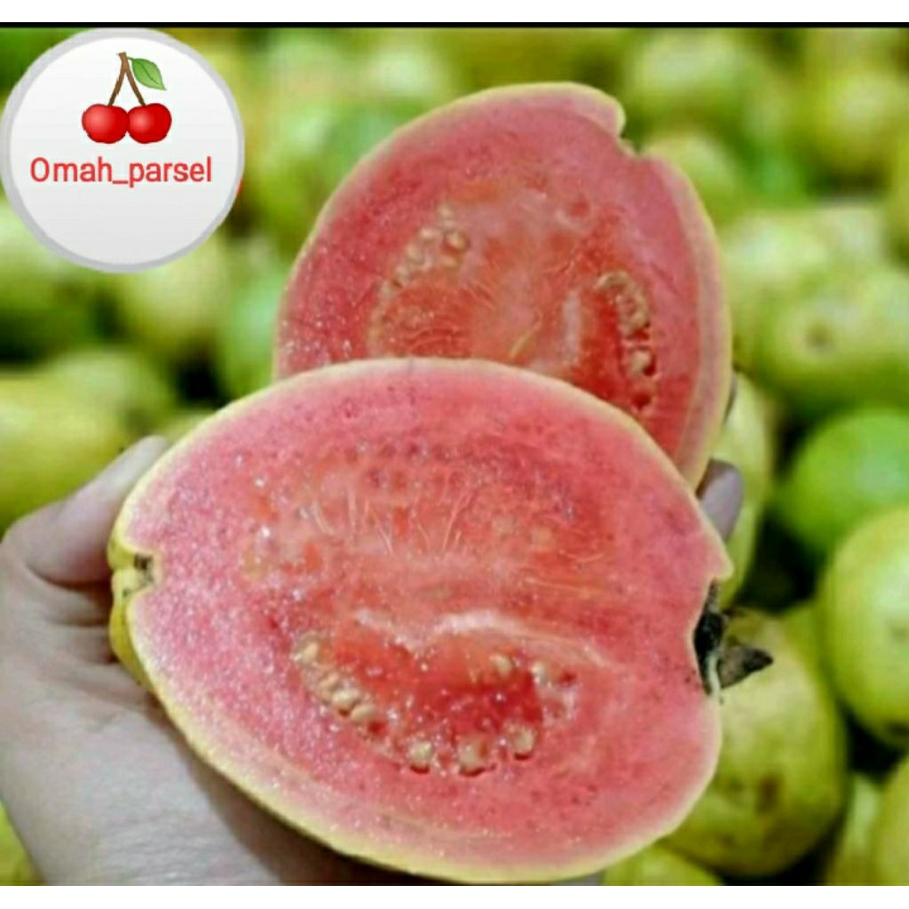 Jambu Merah 1kg
