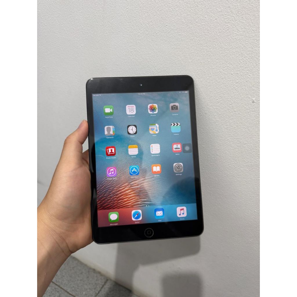 Ipad Mini Storage 64 Gb Mulus Icloud Kosong