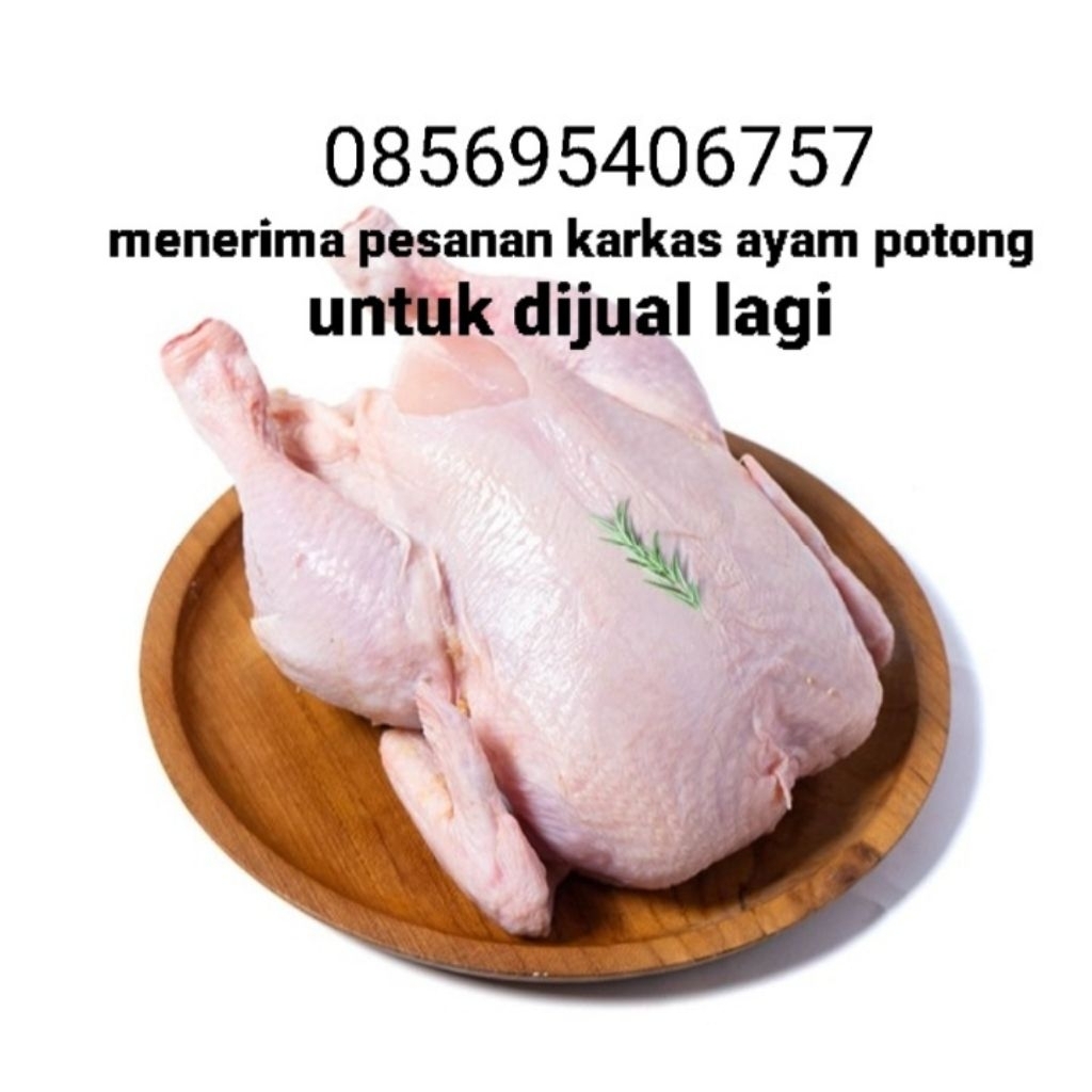 frozen ayam broiler