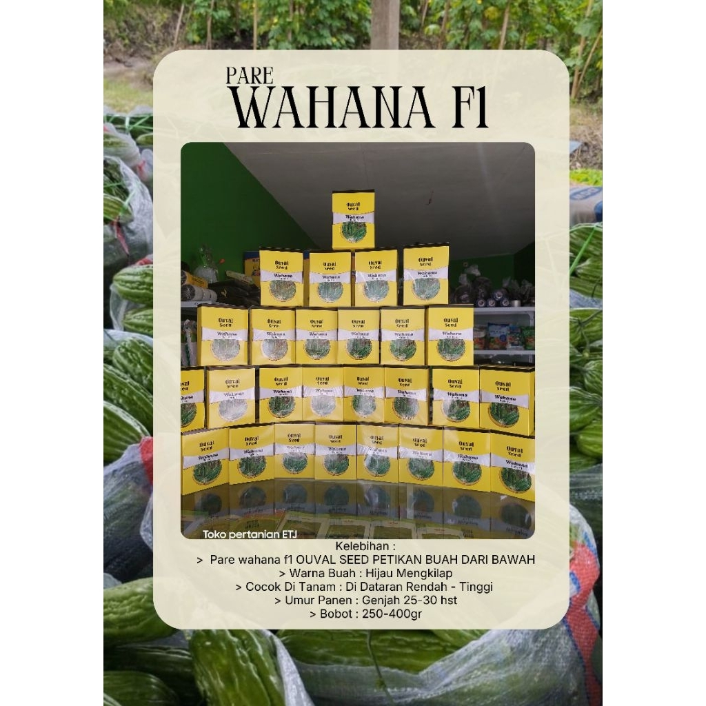 Benih Paria Wahana F1 ouval seed 10 gr isi 60-70 butir