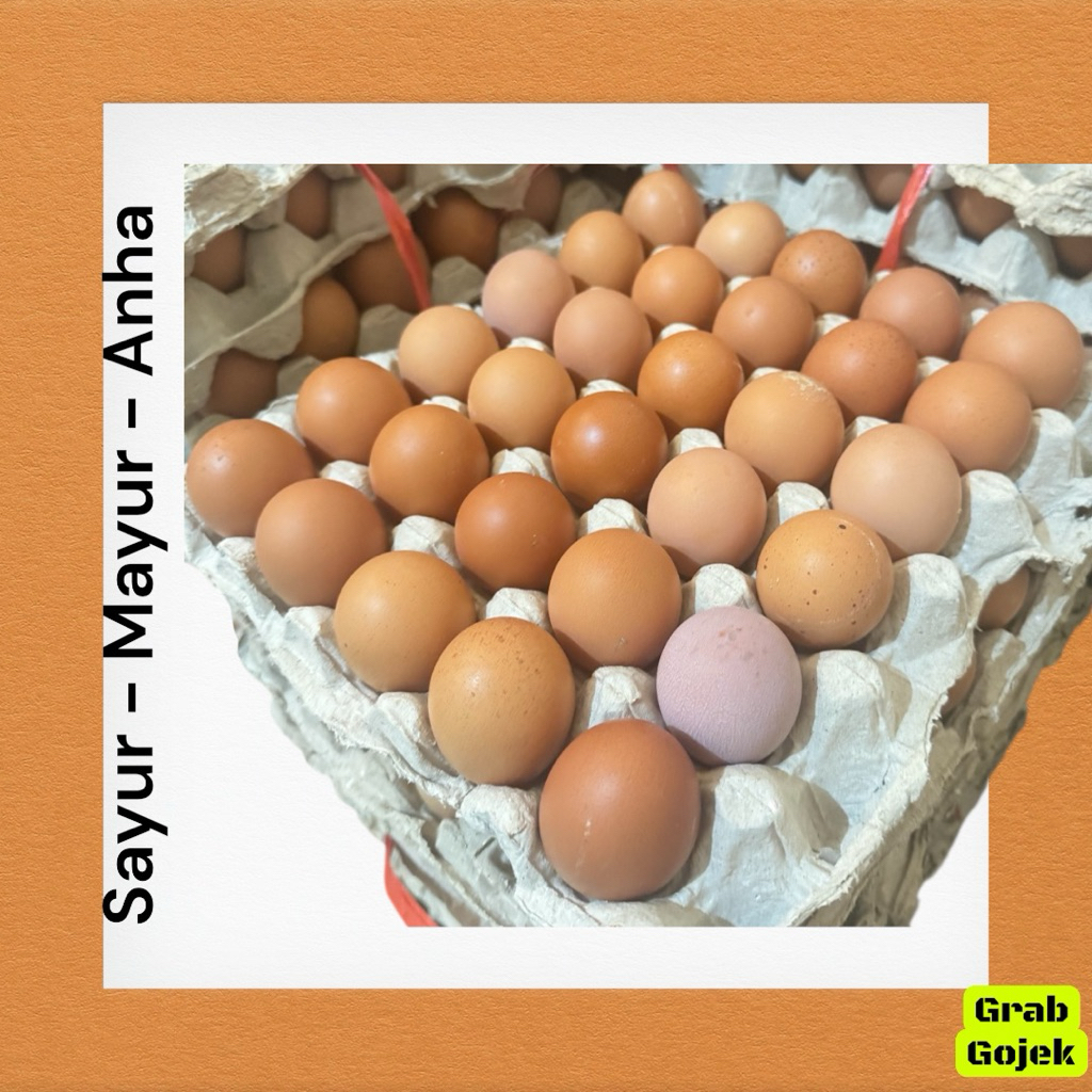 Telur Ayam / 1Rak
