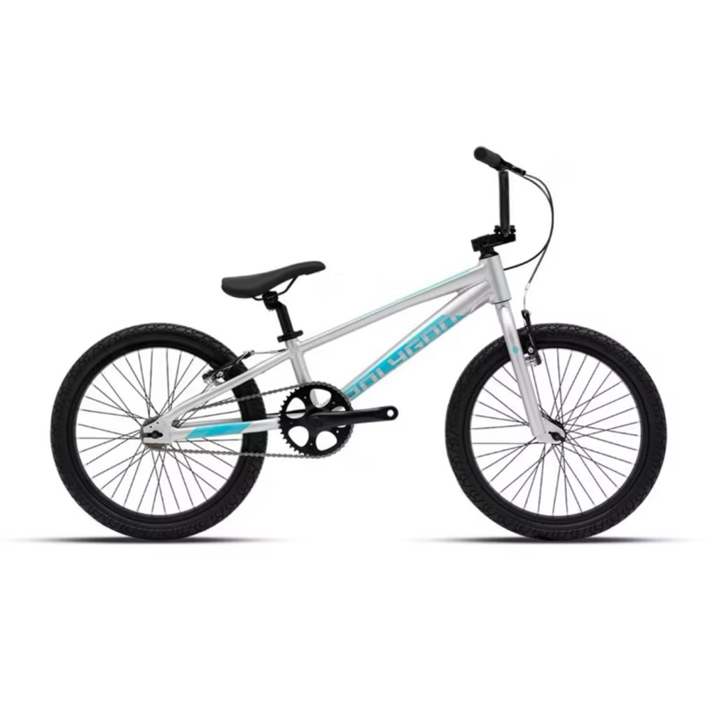 Sepeda BMX 20" Polygon Rogue