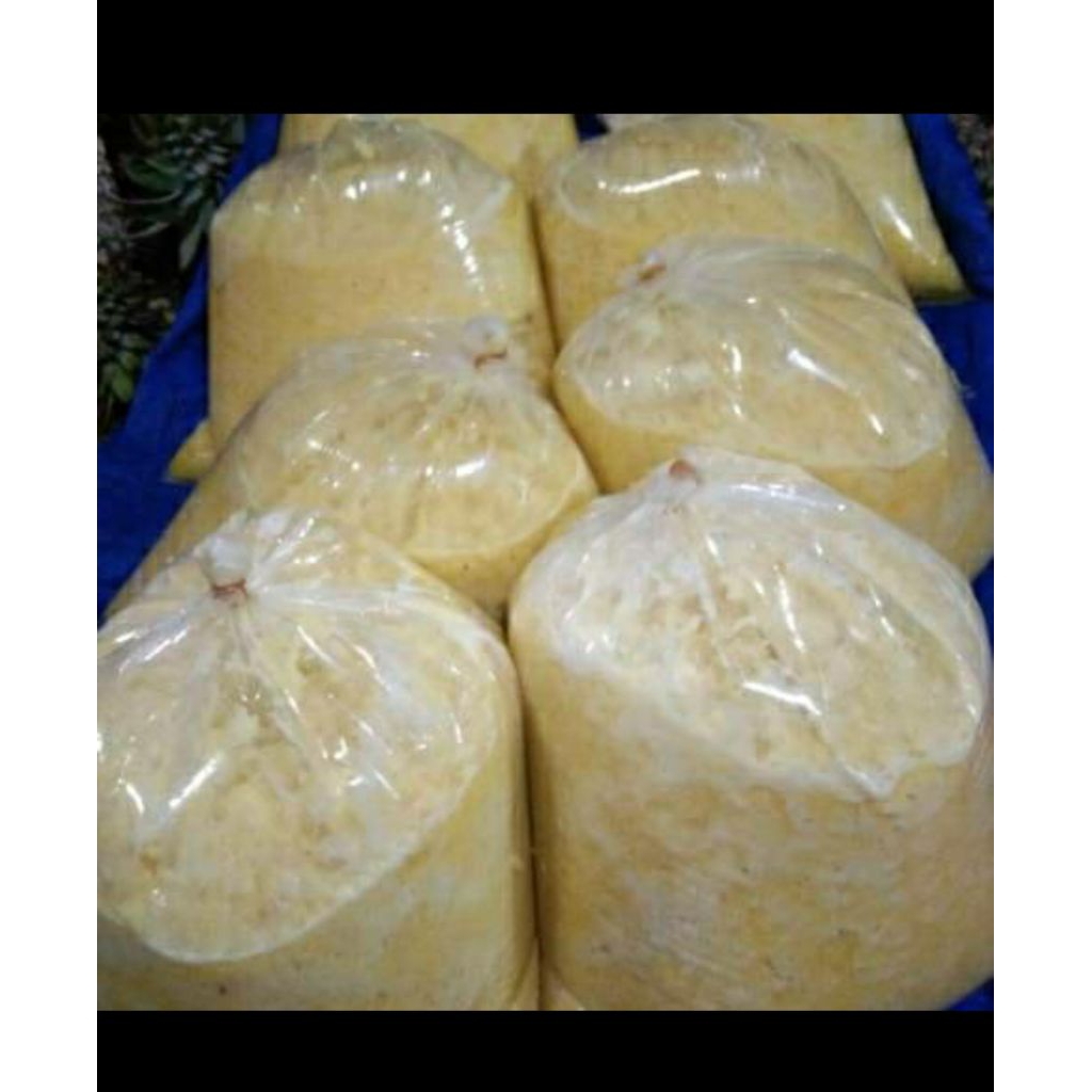 PAKET 10KG NANAS PALEMBANG PREMIUM PARUD COCOK UNTUK SLAI NASTAR DLL