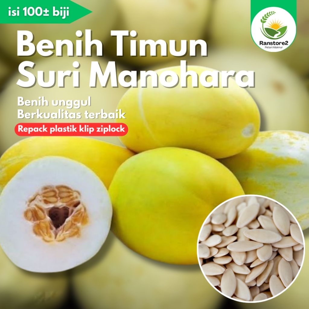 (100±) benih timun suri manohara unggul