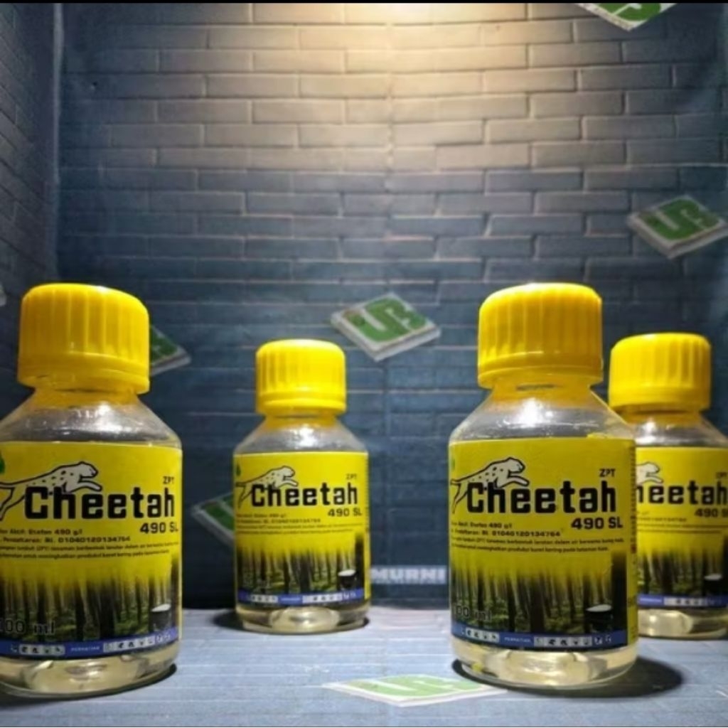 zpt cheetah penambah getah karet 100ml