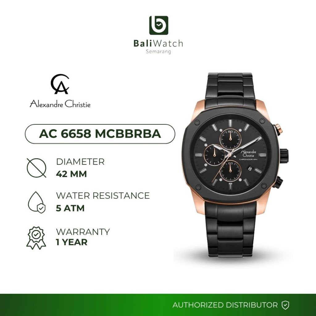 Alexandre Christie AC 6658 MCBBRBA Jam Tangan Pria