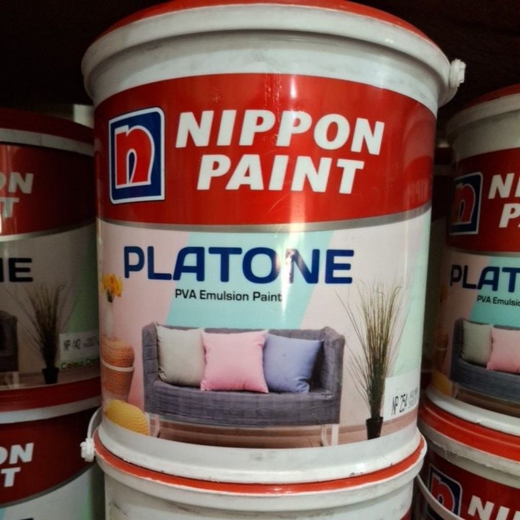 Cat Nippon Platone