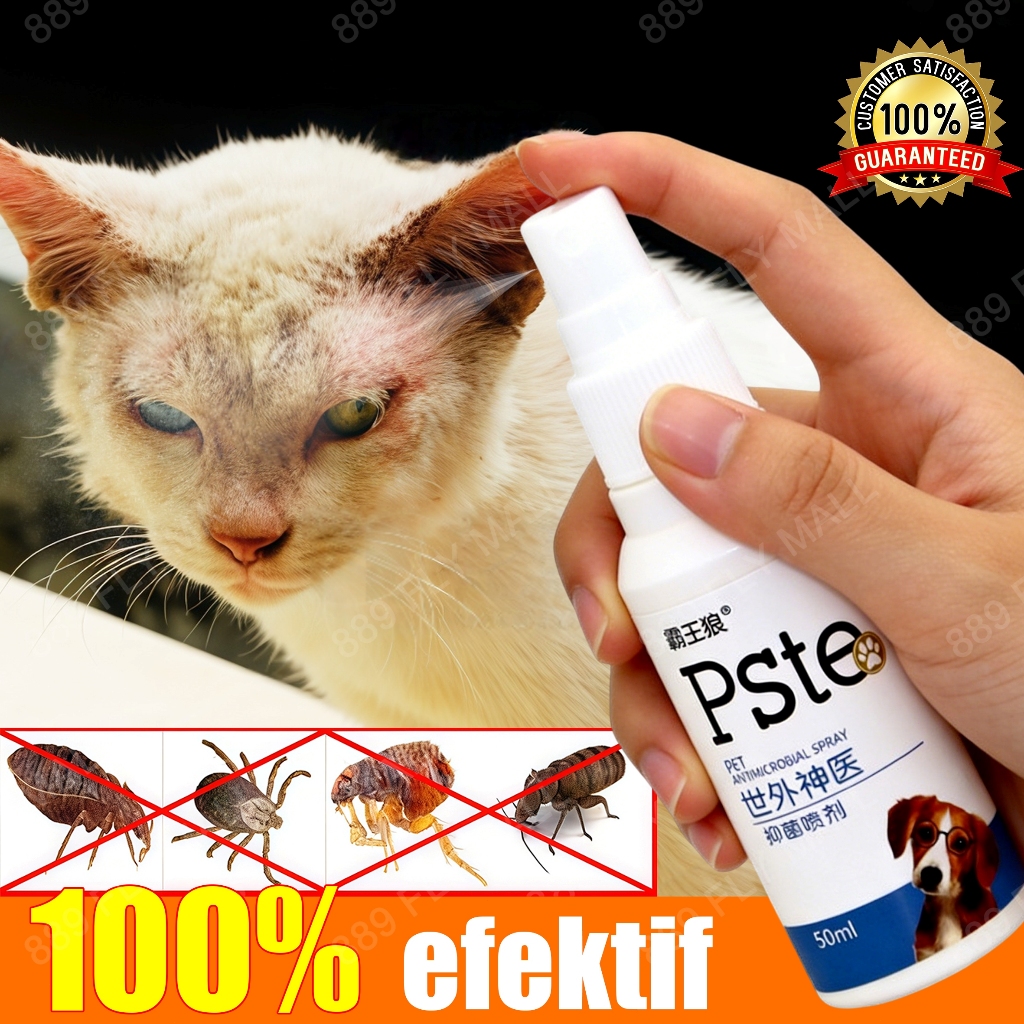 obat kutu kucing obat jamur kucing anjing obat scabies semprot kutu kucing Obat Gatal Kurap