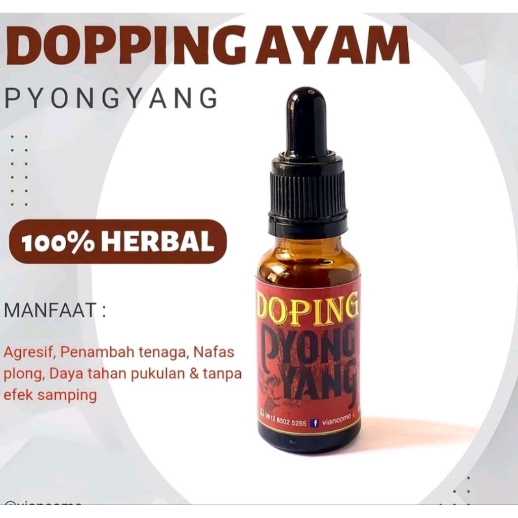 DOPING Pyongyang Jamu Ayam Aduan Laga VVIP 100% Herbal Menambah Tenaga Stamina Terjaga Agresif Menta