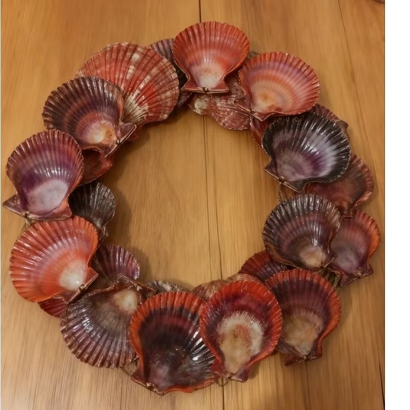 Cangkang kerang kipas prakarya