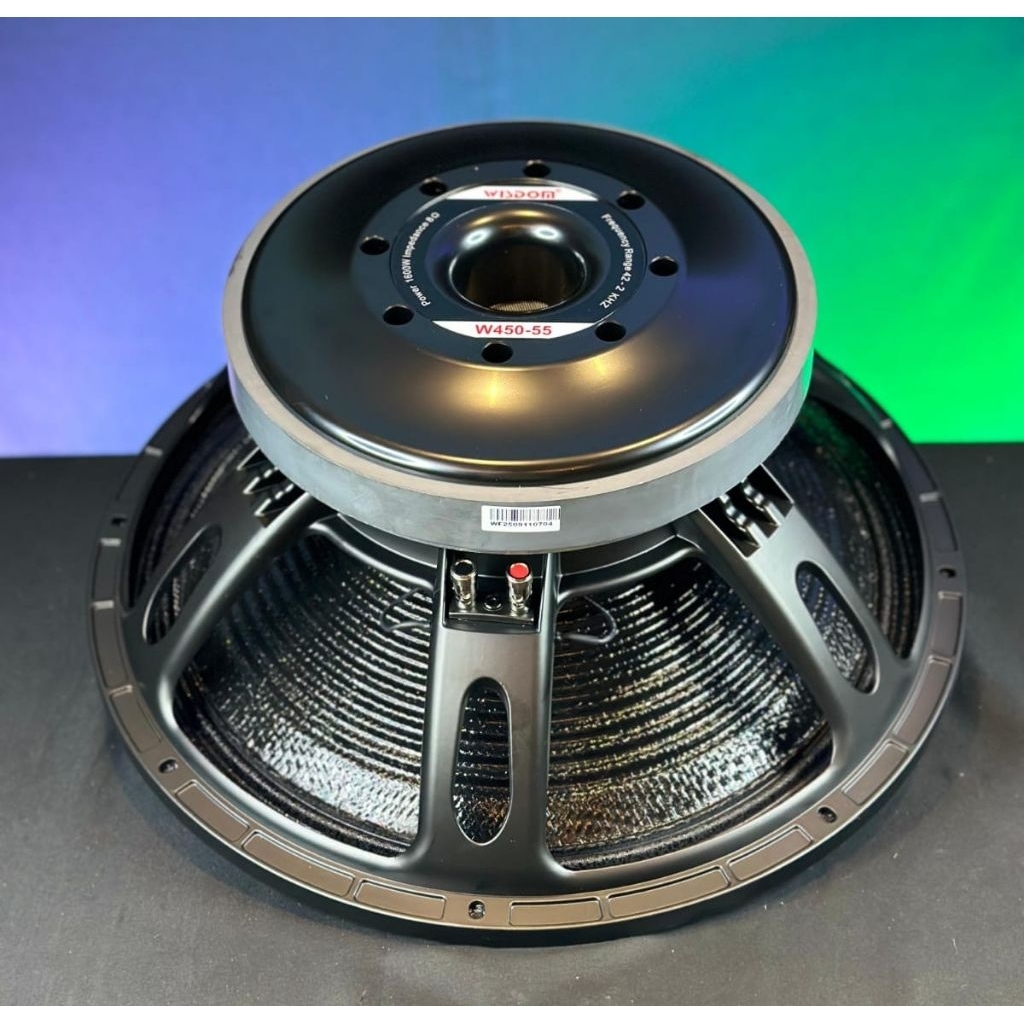 Speaker Wisdom 18in W450 55. Wisdom W450-55 Carbon