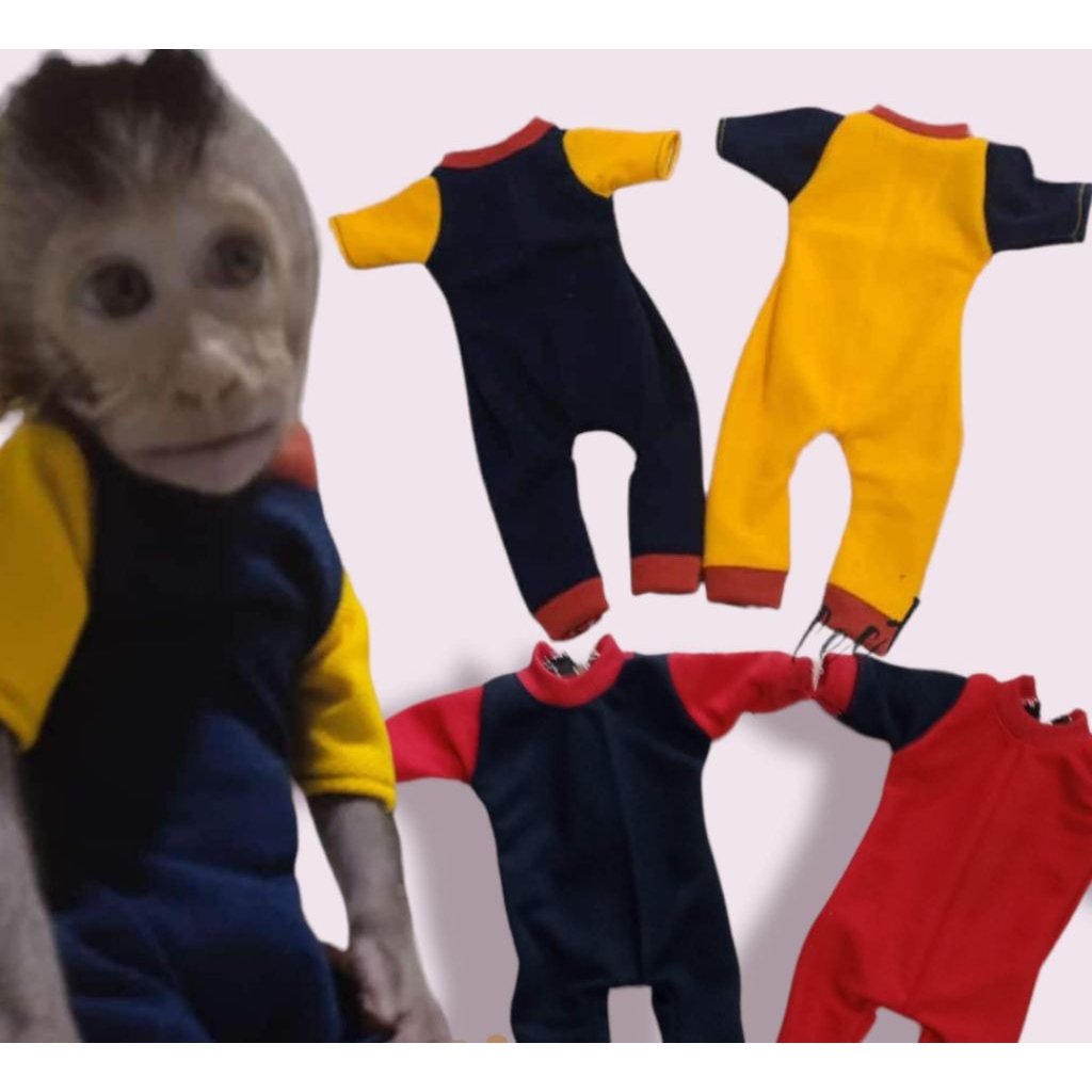 baju monyet peliharaan model jumper pariasi