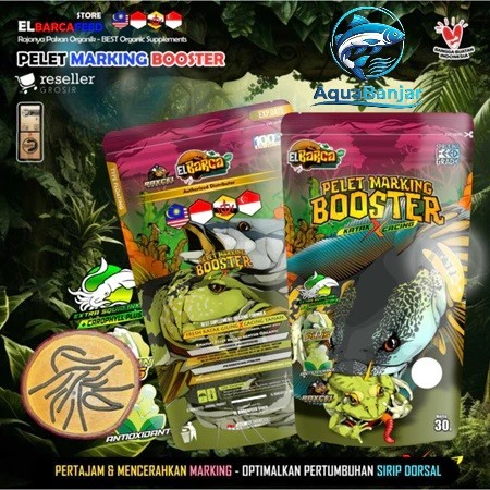 PELET MARKING Katak X Cacing Merah Pelet Katak Dorpol Channa Auranti Pelet ikan channa predator