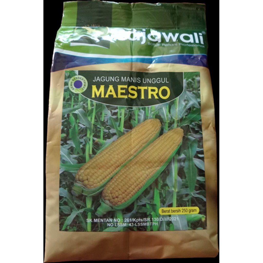 Benih Jagung Manis Unggul MAESTRO 250gr – Bibit Jagung Super Manis, Tahan Hama, Cepat Panen, Produks