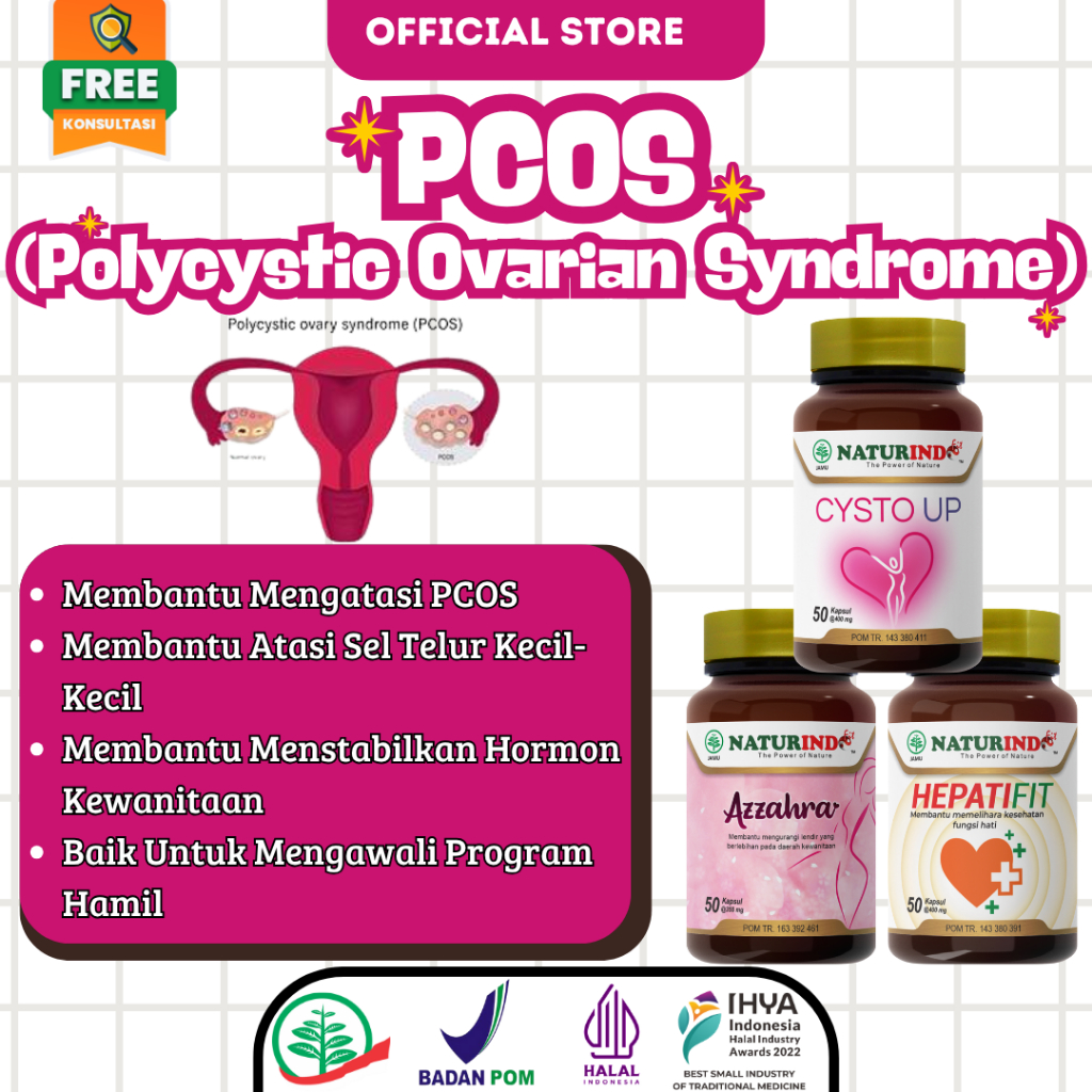 Herbal PCOS Polycystic Ovary Syndrome Sel Telur Kecil Program Hamil Gangguan Hormonal