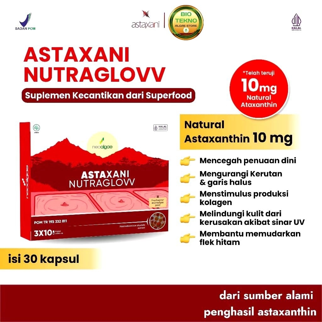 ASTAXANI Nutraglow Extract Astaxanthin 10 Mg (30 Kapsul) - BPOM - HALAL - Mencegah Penuaan Dini, Men