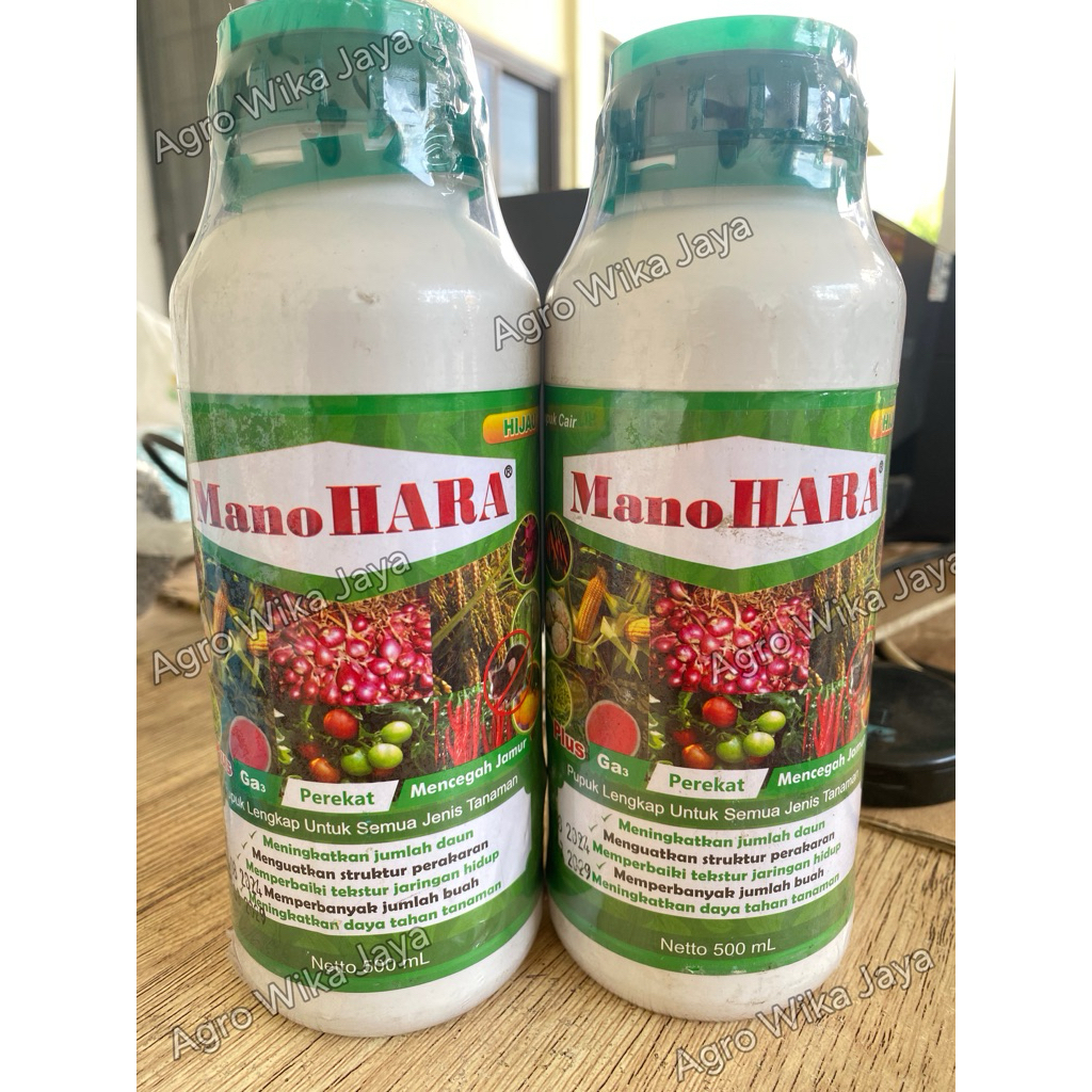 Manohara Hijau Pupuk Daun Manohara Pertumbuhan