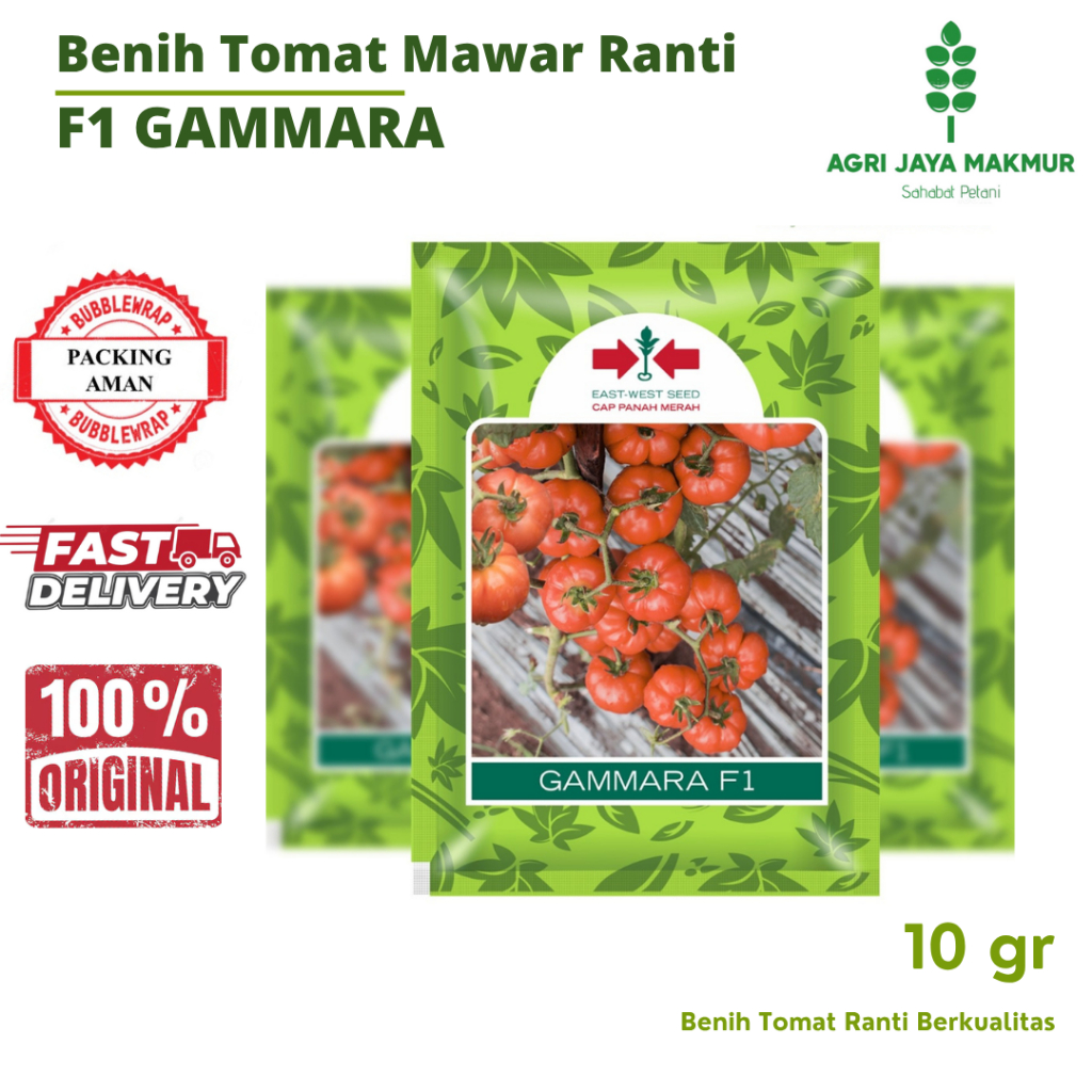 BENIH TOMAT MAWAR RANTI KERITING GAMMARA F1