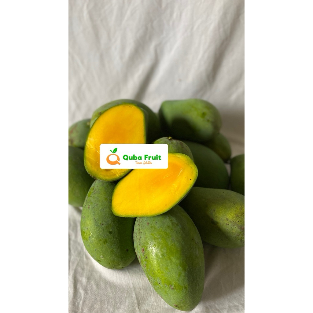 mangga gadung mangga manalagi