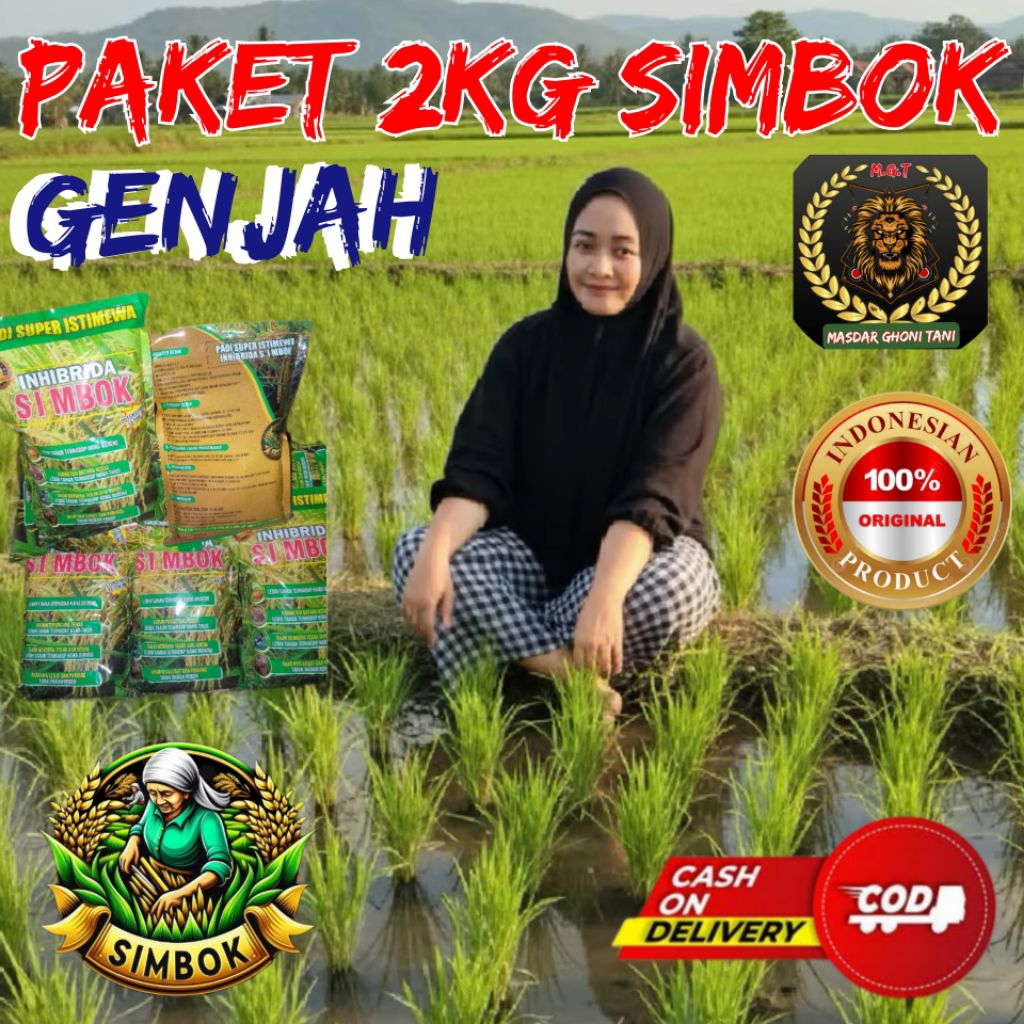 (2kg)Benih padi simbok in-hibrida,umur pendek 85-95 hst