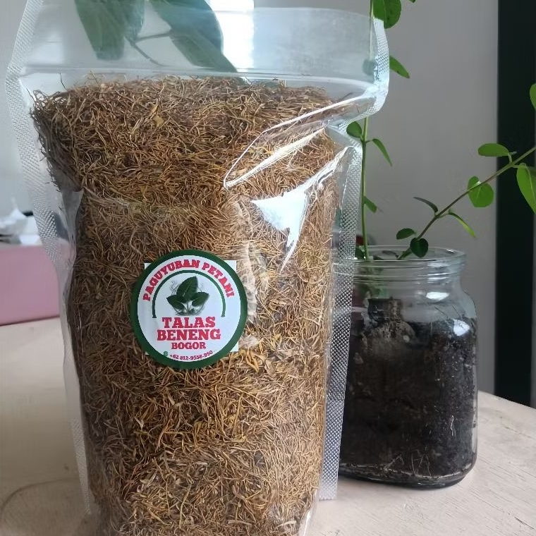 Daun Talas Beneng Kering Alami Grade A 100gr| Best Quality Super Premium
