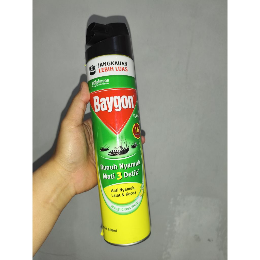 Baygon Spray