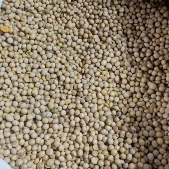 kacang kedelai super import bola 1kg