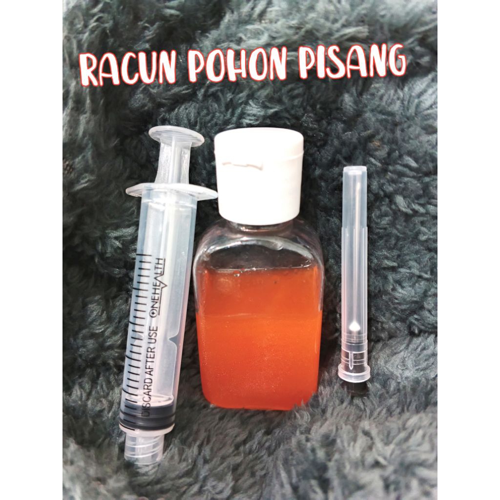 INJEKSI Racun Pohon Pisang Liar AMPUHH (SUNTIK)