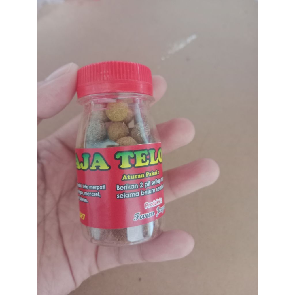 RAJA TELO (obat burung dara/merpati)