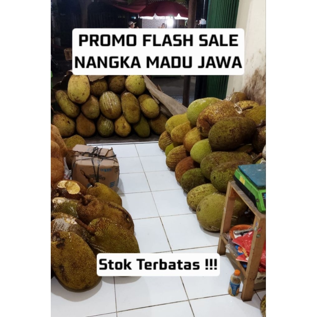 Buah Nangka Tua utuh 1 buah Fresh
