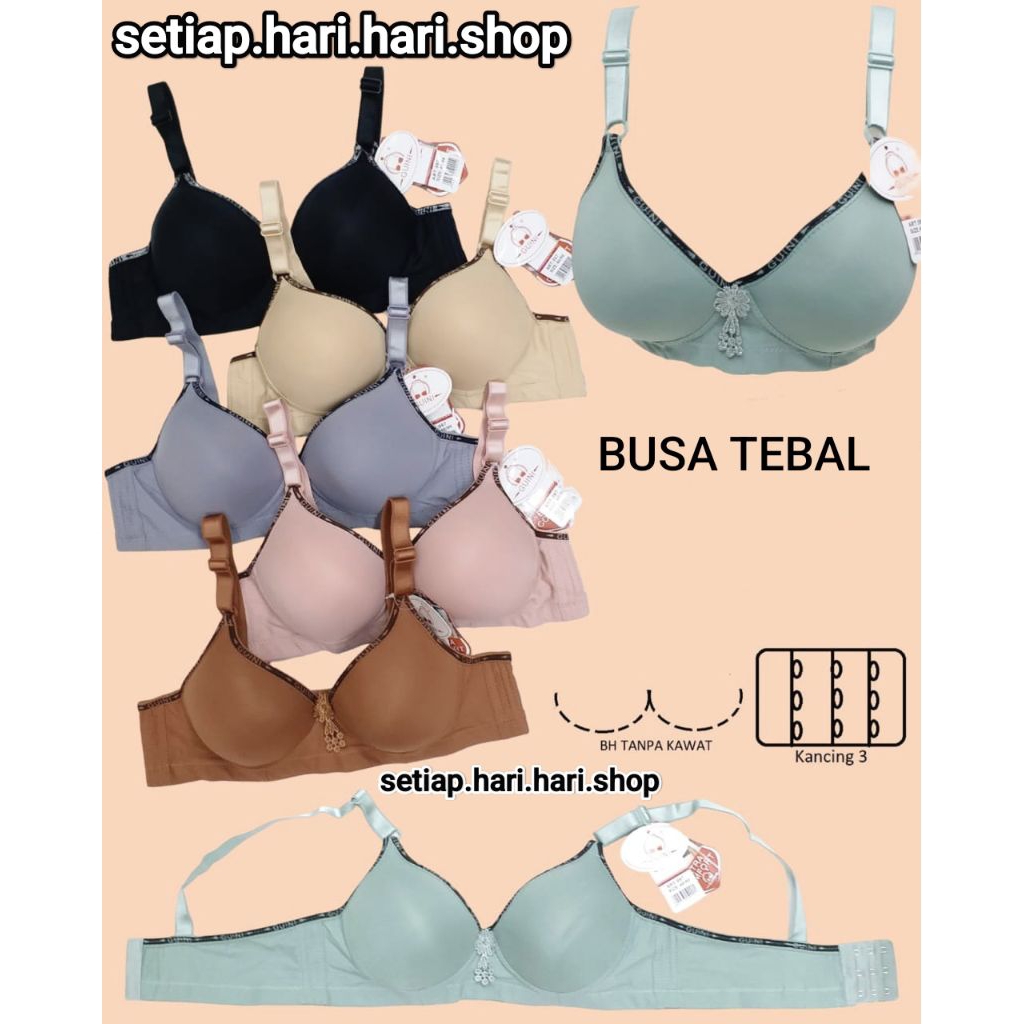 SPECIAL PROMO Bh bra push up bra busa tebal hanabra /Guini tanpa kawat kait 3 PROMO SPECIAL