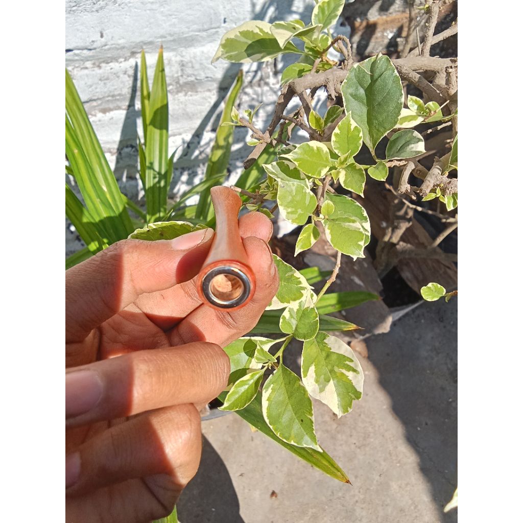 pipa pipo kayu stigi