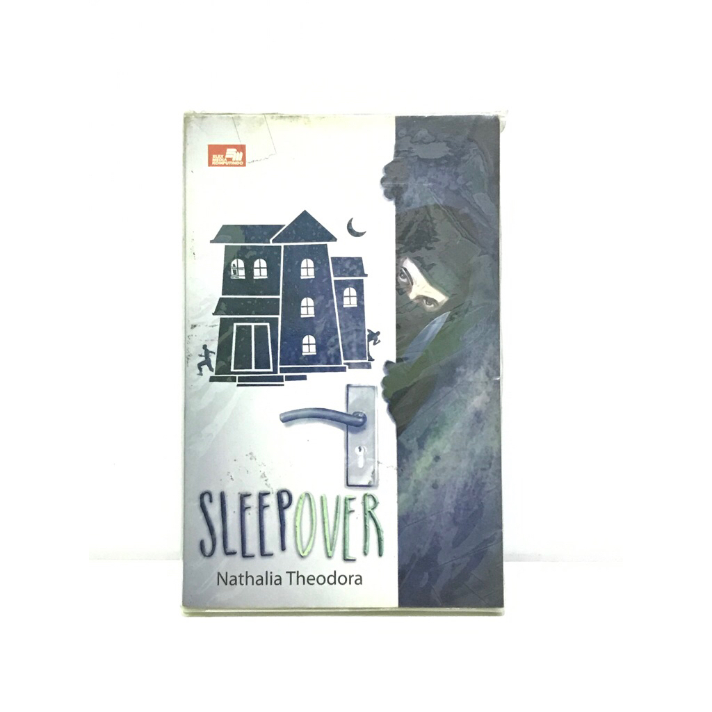 NOVEL SLEEPOVER - Nathalia Theodora