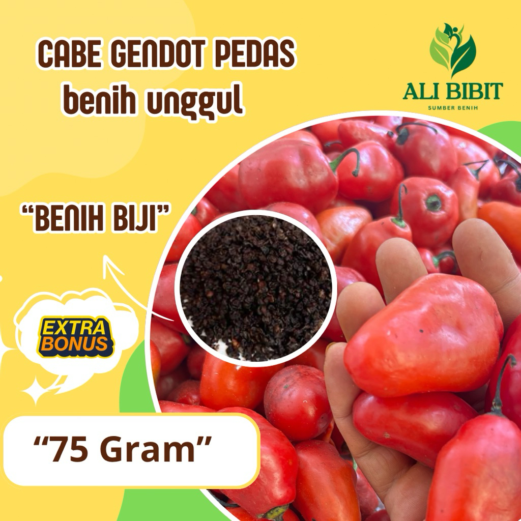 75 Gram> Biji Cabe Gendot>Bibit Benih Cabe Gendot Pedas>Bonus Benih