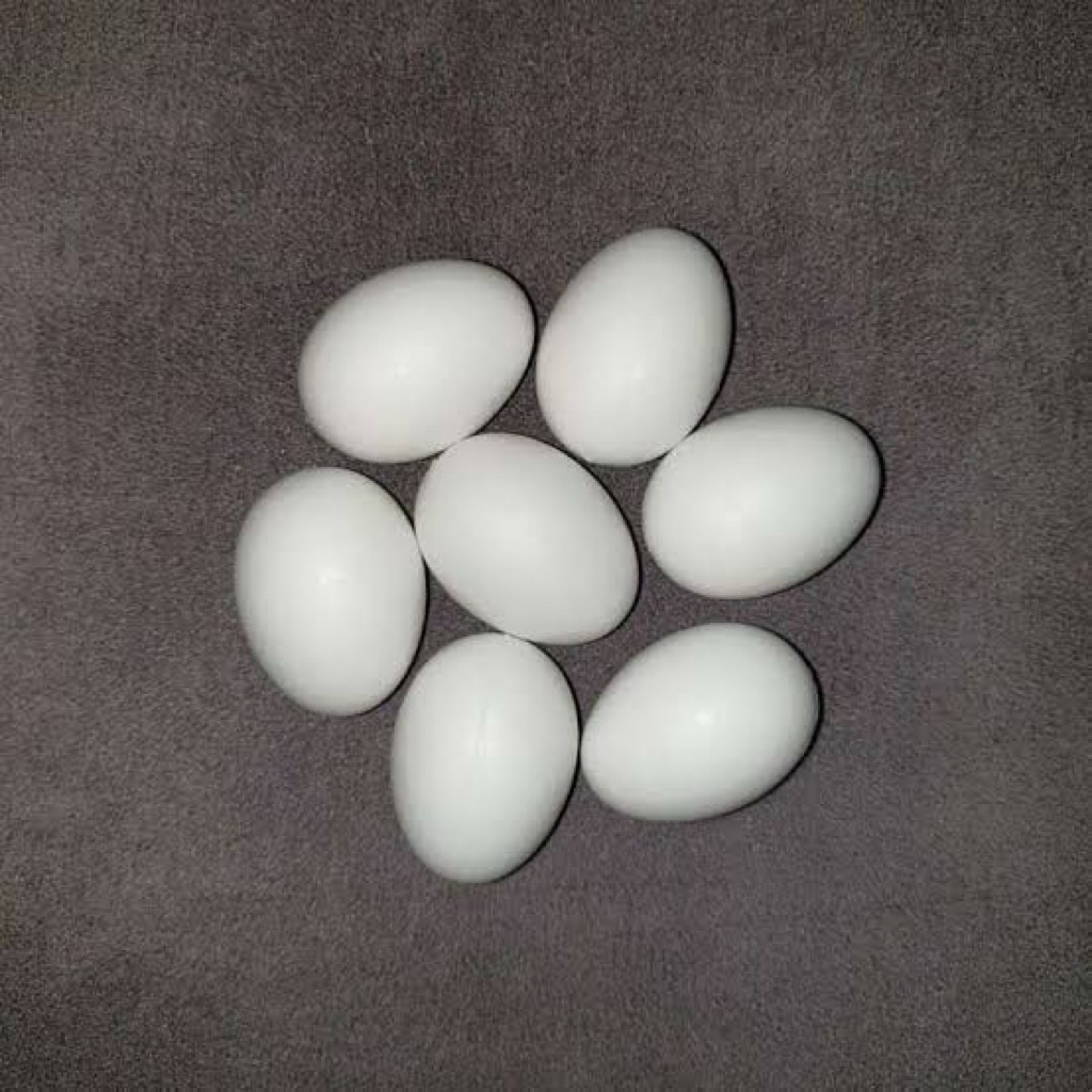 TELUR MERPATI POS ASLI 100% SEGAR MENTAH ATAU REBUS