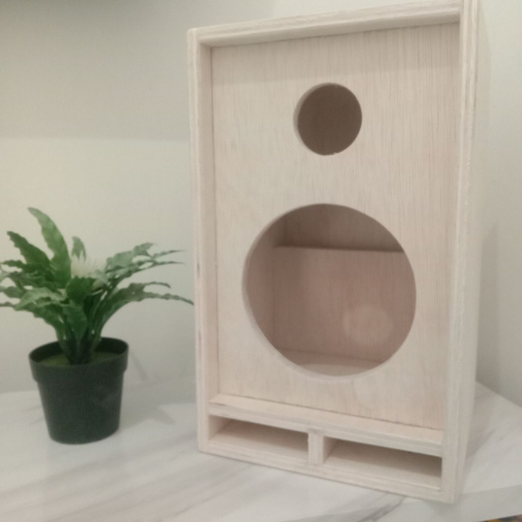 Box Speaker Single 12 inch + Lubang Tweeter 3 inch