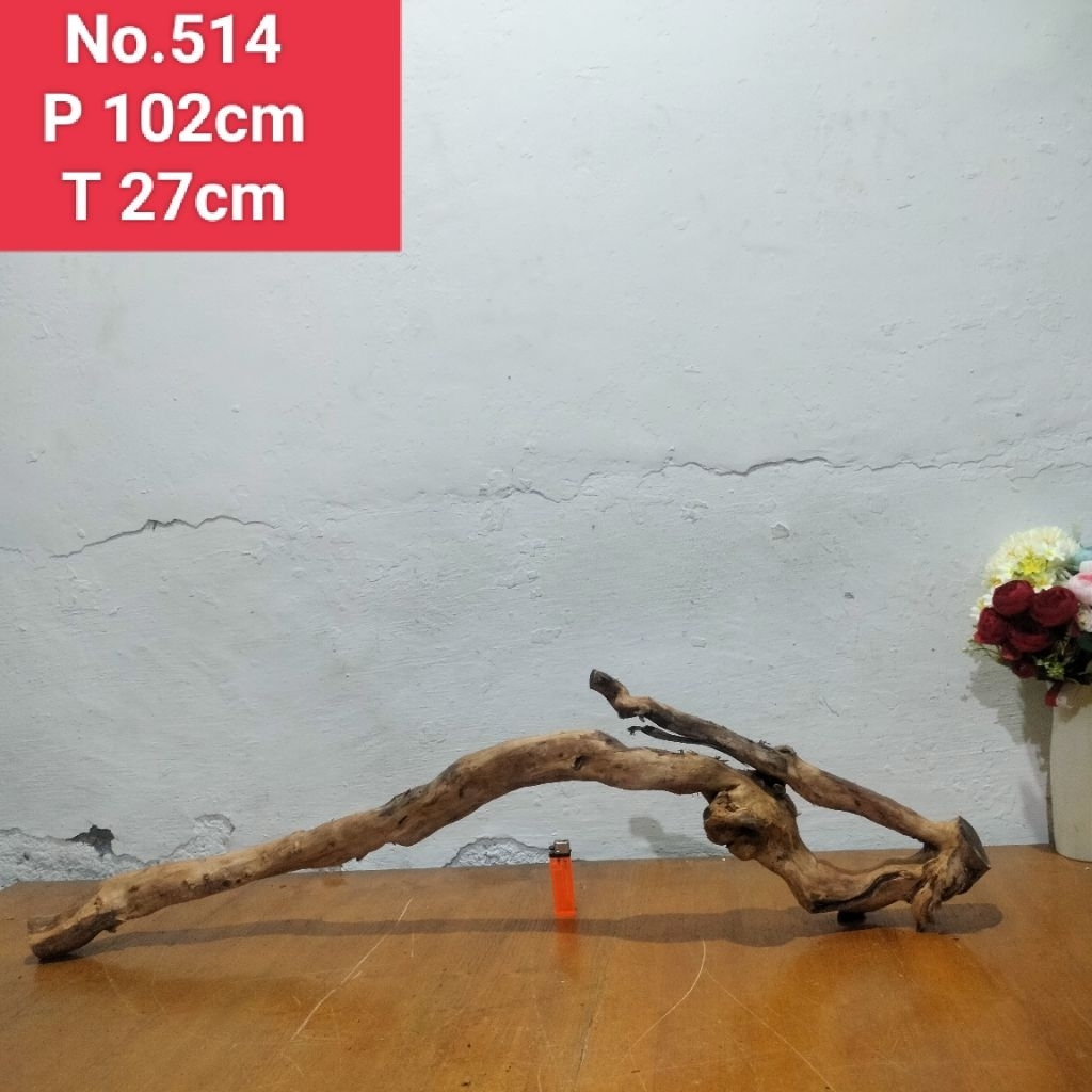 bonggolan akar santigi laut akar dekorasi aquarium aquascape 514