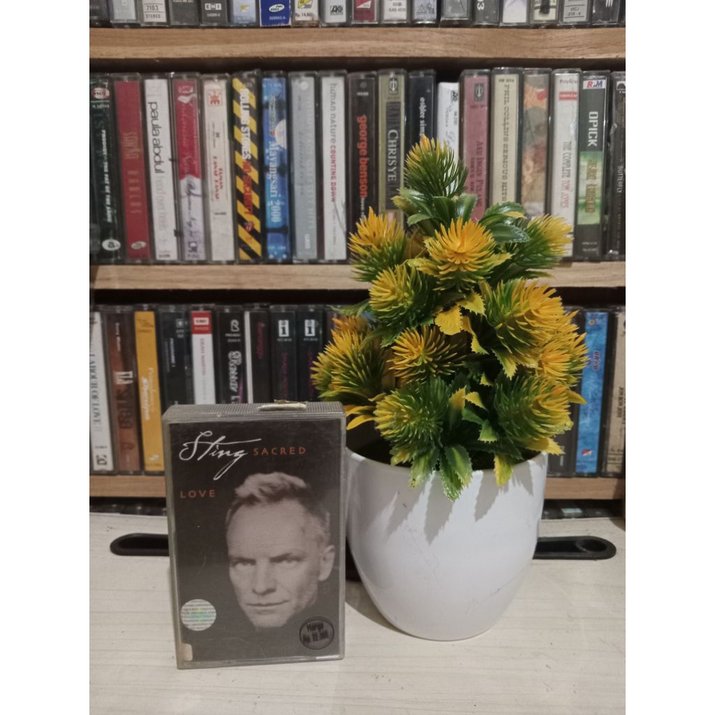 KASET STING SACRED LOVE