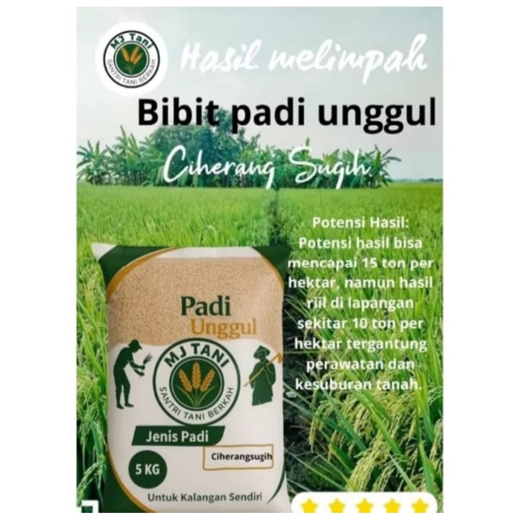 bibit padi ciherang sugih 5kg