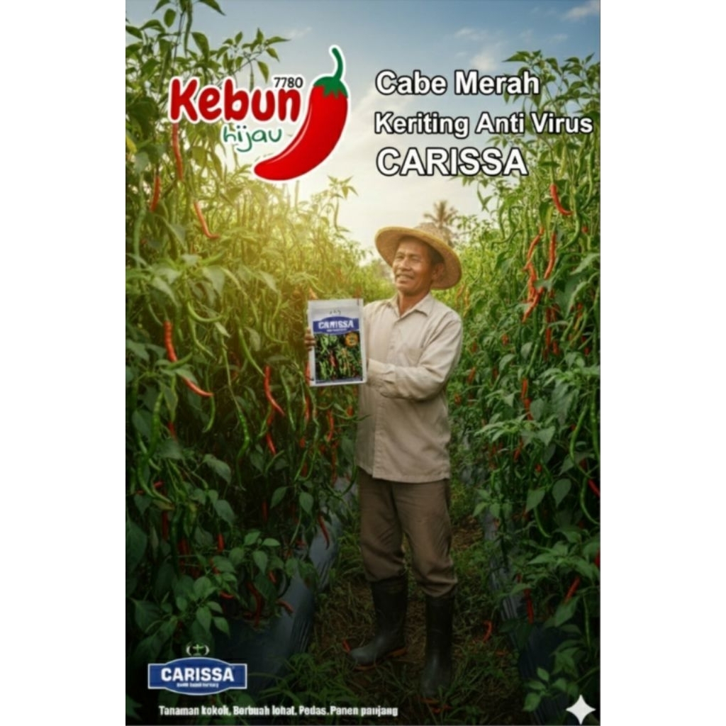 benih cabe keriting lokal CARISSA ANTI VIRUS 10 gr