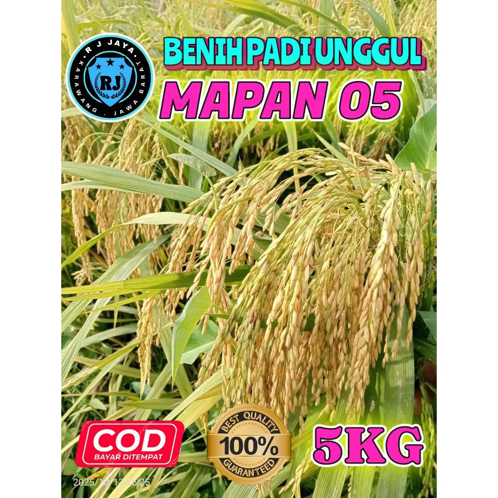 BENIH PADI UNGGUL BERKUALITAS MAPAN 05 KEMASAN 5KG
