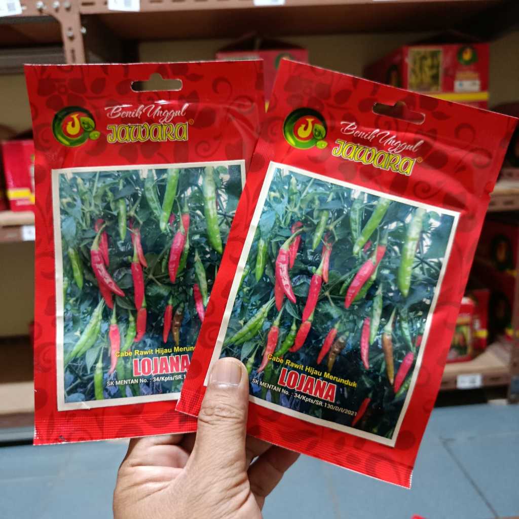 Benih Cabe RAWIT LOJANA JAWARA 10gr