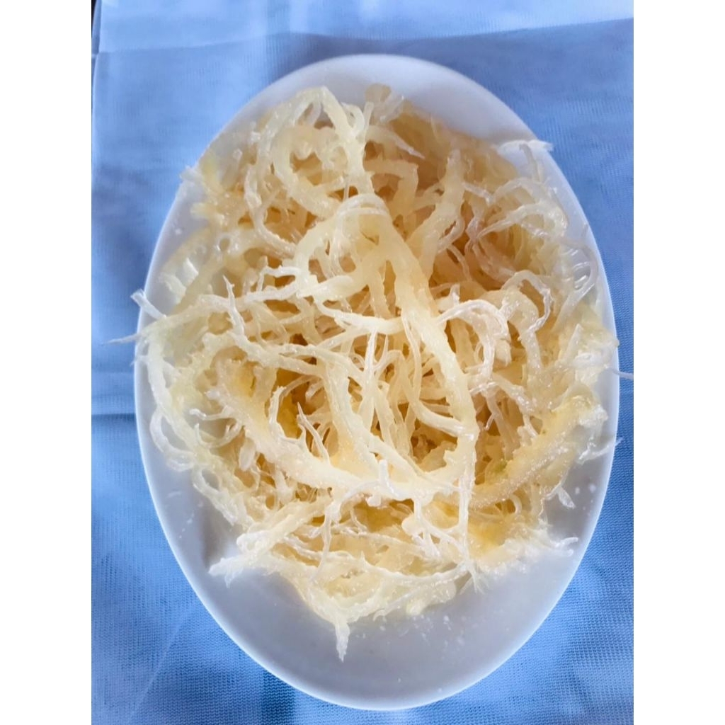 Rumput Laut Cottonii Cottonik ( Eucheuma Cottonii )