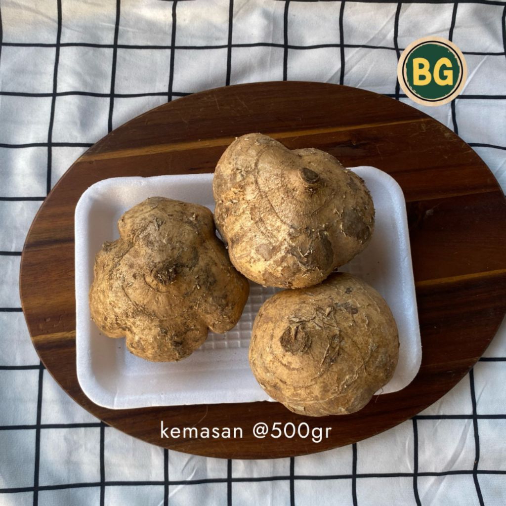 Bengkoang segar, buah bengkoang, bengkoang fresh