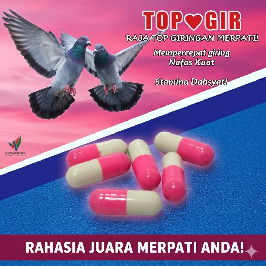 TOP GIR Jamu Merpati Giring Keket Keras Doping Merpati Balap Kolongan