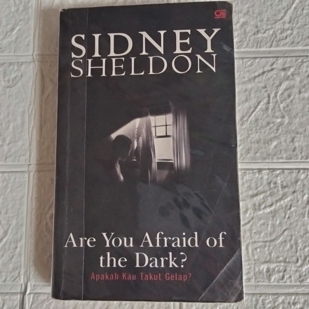 [BUKU BEKAS ORIGINAL] NOVEL ARE YOU AFRAID OF THE DARK