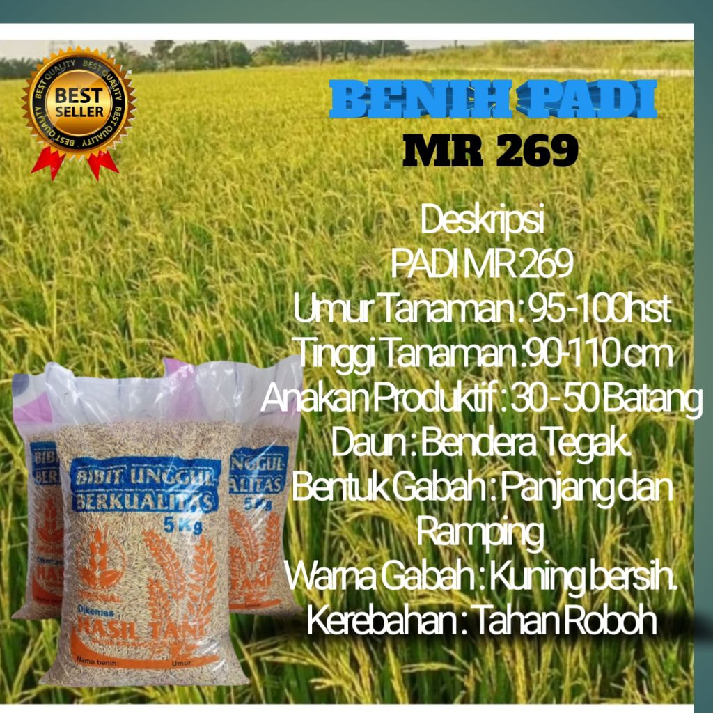 BIBIT PADI UNGGUL MR 269 5KG